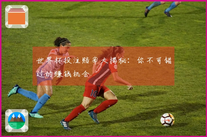 世界杯投注赔率大揭秘：你不可错过的赚钱机会