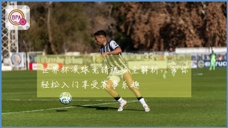 世界杯滚球竞猜玩法全解析，带你轻松入门享受赛事乐趣