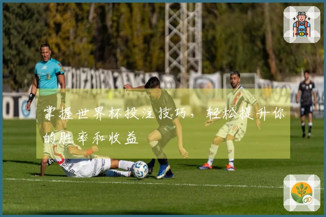 掌握世界杯投注技巧，轻松提升你的胜率和收益