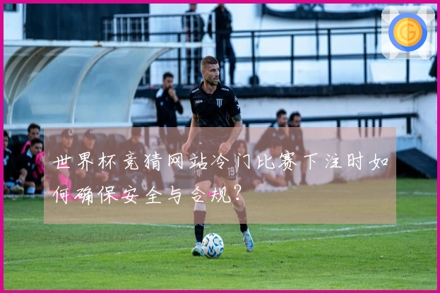 世界杯竞猜网站冷门比赛下注时如何确保安全与合规？