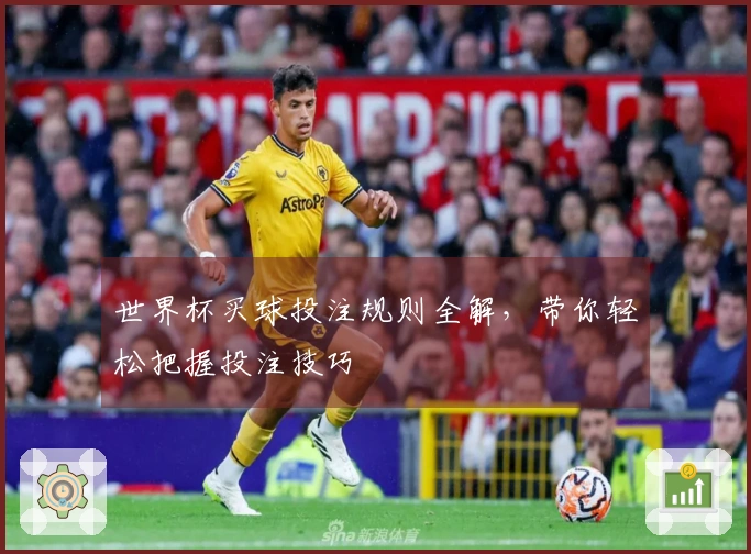 世界杯买球投注规则全解，带你轻松把握投注技巧
