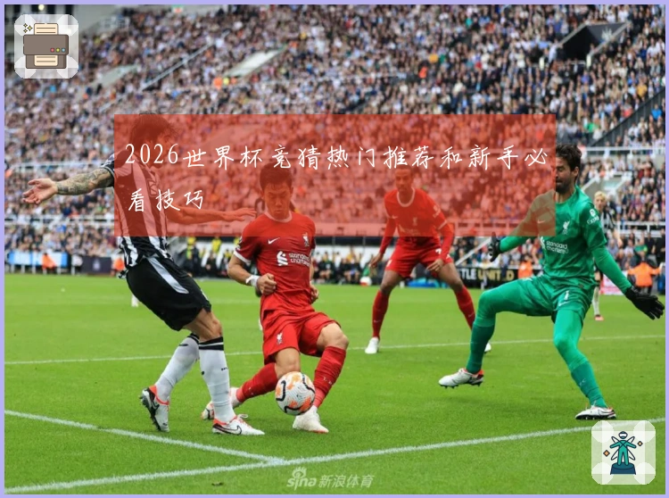2026世界杯竞猜热门推荐和新手必看技巧