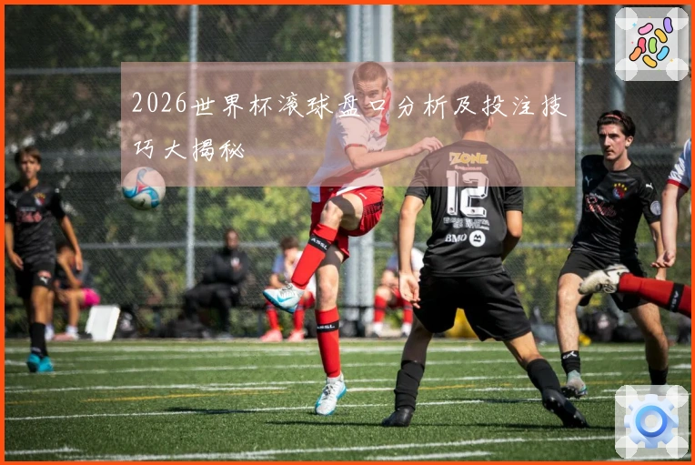 2026世界杯滚球盘口分析及投注技巧大揭秘