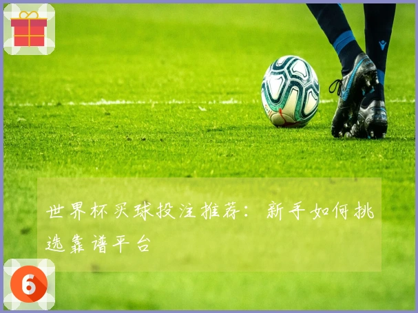 世界杯买球投注推荐：新手如何挑选靠谱平台