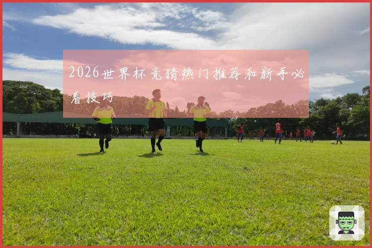 2026世界杯竞猜热门推荐和新手必看技巧
