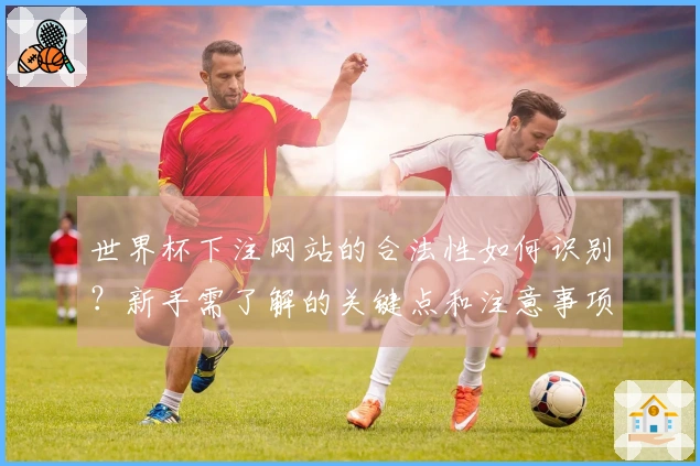 世界杯下注网站的合法性如何识别？新手需了解的关键点和注意事项