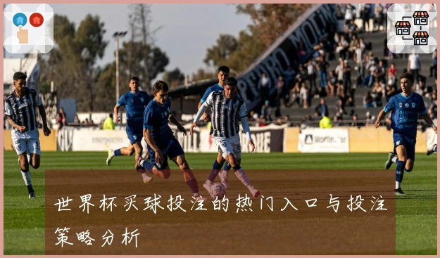 世界杯买球投注的热门入口与投注策略分析