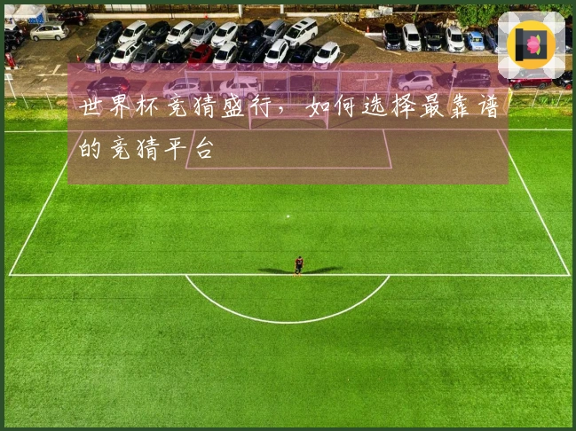 世界杯竞猜盛行，如何选择最靠谱的竞猜平台