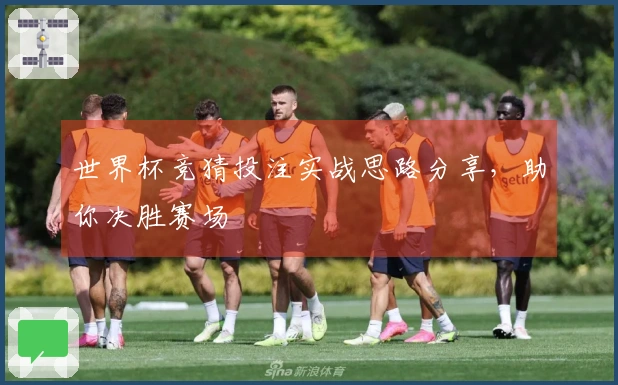 世界杯竞猜投注实战思路分享，助你决胜赛场