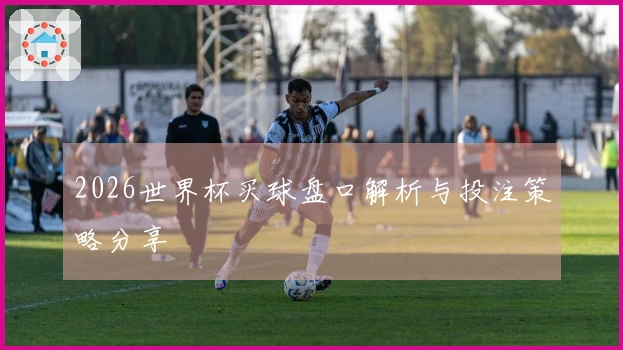 2026世界杯买球盘口解析与投注策略分享