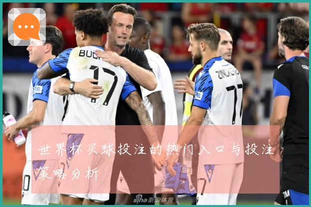 世界杯买球投注的热门入口与投注策略分析