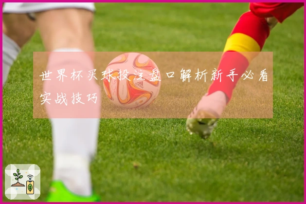 世界杯买球投注盘口解析新手必看实战技巧