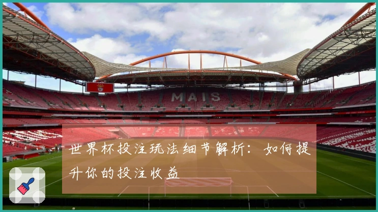 世界杯投注玩法细节解析：如何提升你的投注收益