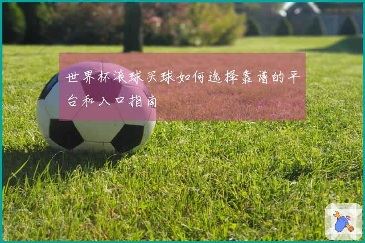 世界杯滚球买球如何选择靠谱的平台和入口指南