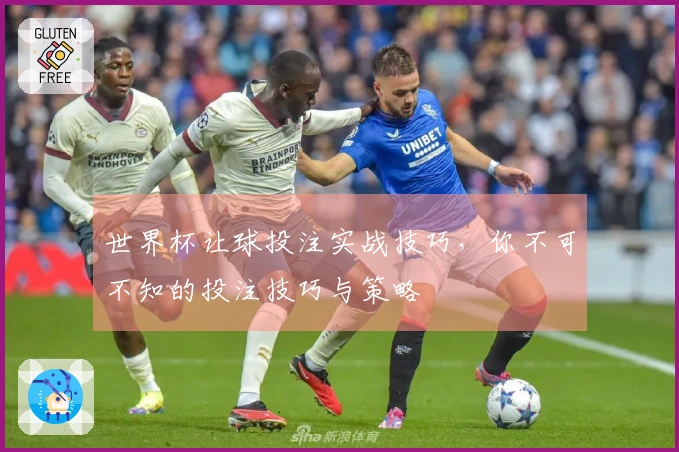 世界杯让球投注实战技巧，你不可不知的投注技巧与策略